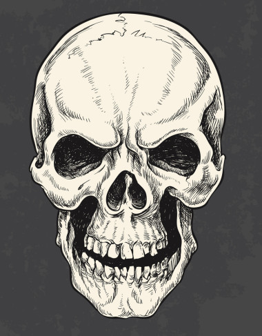 手工繪制的頭骨矢量