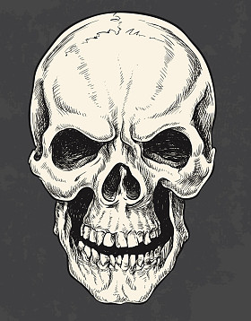手工绘制的头骨矢量