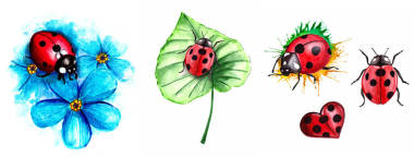 昆虫的收集。在白色隔离背景上绘制丙烯酸画。瓢虫