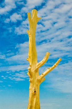 孤立在蓝蓝的天空背景上的金死树 孤立在蓝蓝的天空背景上的金死树