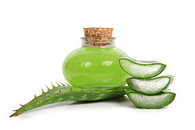 Aloes photos