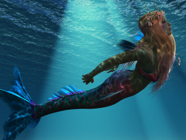 美人魚的海