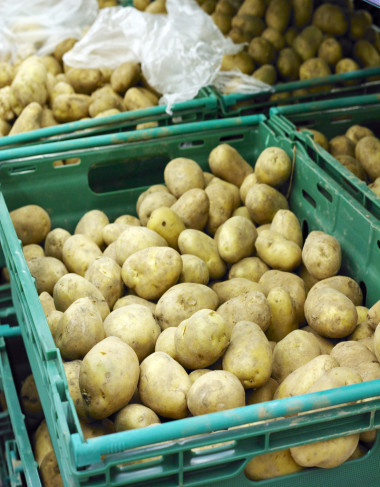 土豆在籃子