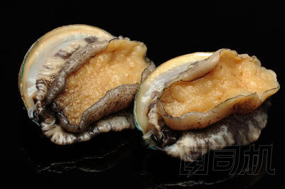 原料鮑魚圖片