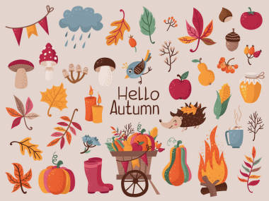 大集秋葉，蘑菇，漿果圖片