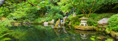 美麗的日本花園圖片