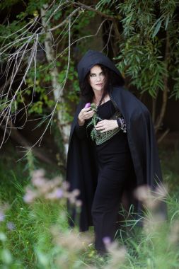 邪惡的巫婆躲在灌木叢后面圖片