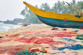斯里兰卡热带岛屿上美丽的海滩，有棕榈树和巨石。水平。垂直