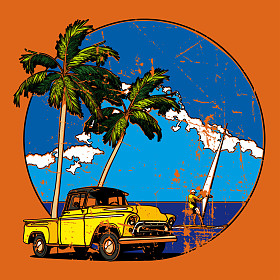 复古夏威夷小插图