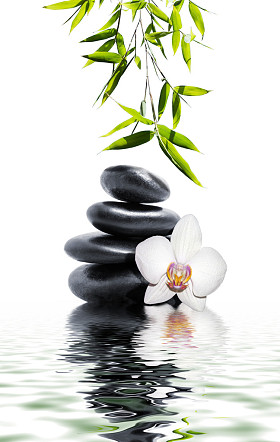 白色兰花花结束竹图片