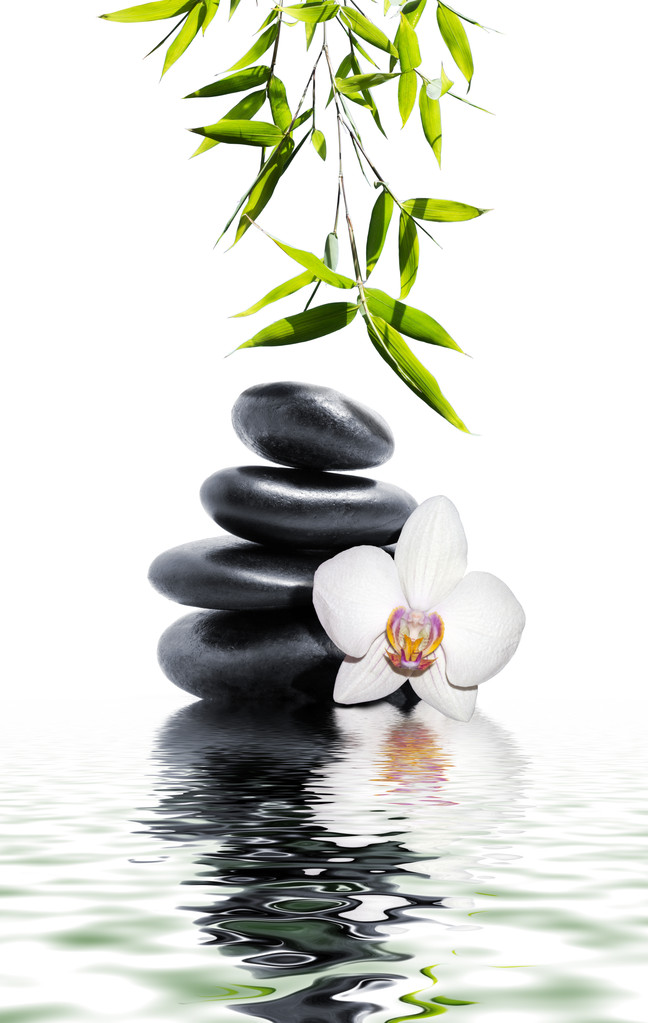 白色兰花花结束竹图片