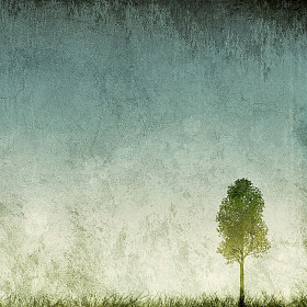 单棵树 grunge 背景