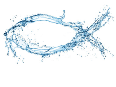 鱼喜欢水溅图片