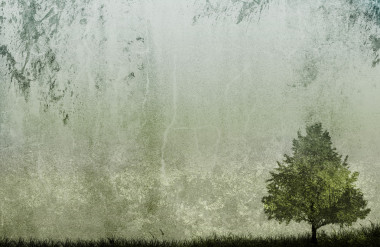 單樹(shù)上 grunge 紋理