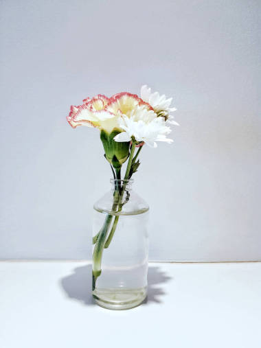 玻璃中五顏六色的烏塞瑪花束圖片