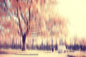 模糊的秋天背景公园/黄色墙纸，秋天的森林，季节景观的概念，树枝，树叶