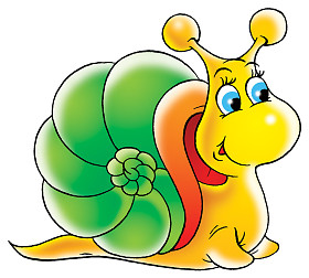 绿色的壳的蜗牛图片