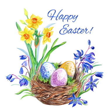 “复活节快乐!上面写着复活节卡片!鸟窝，鸟蛋，水仙花和西拉(东方山茶花)，白色背景水彩画