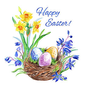 “复活节快乐!上面写着复活节卡片!鸟窝，鸟蛋，水仙花和西拉(东方山茶花)，白色背景水彩画