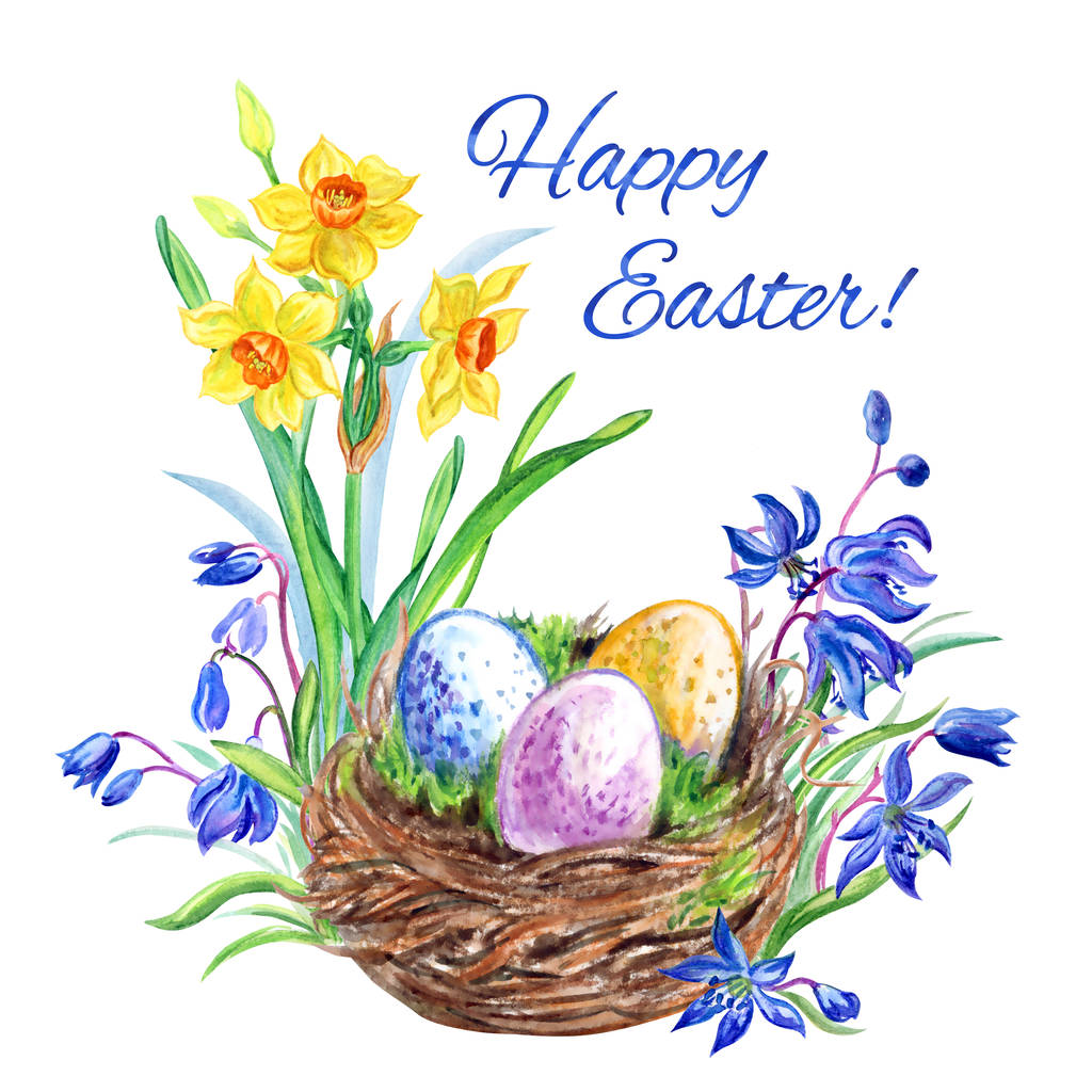 “复活节快乐!上面写着复活节卡片!鸟窝,鸟蛋,水仙花和西拉(东方山茶花),白色背景水彩画 “复活节快乐!上面写着复活节卡片!鸟窝,鸟蛋,水仙花和西拉(东方山茶花),白色背景水彩画