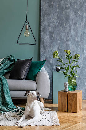 客厅内饰典雅典雅典雅的现代风格. 设计家居装饰。 准备好使用的软饮料