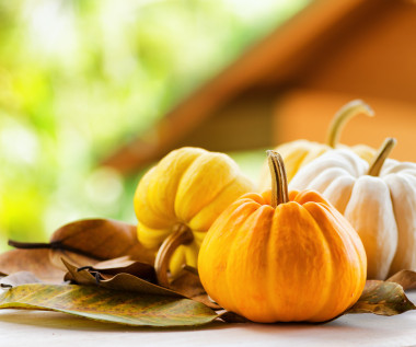 乡村景观背景上的南瓜图片