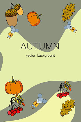 为您的设计设置一组矢量图标照片