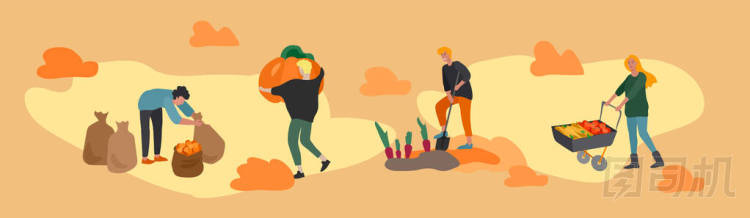 人們采摘莊稼或季節(jié)性收獲，采摘成熟的蔬菜，采摘水果和漿果，摘除樹葉。 男人，女人在農(nóng)場工作。 秋天的農(nóng)業(yè)工人。 卡通矢量