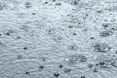 雨洼圖片