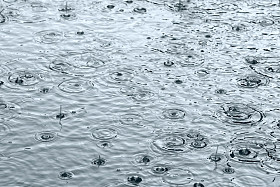 雨洼图片
