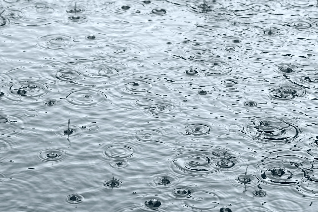 雨洼图片