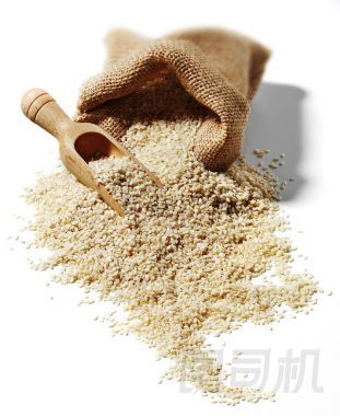 芝麻隔離圖片