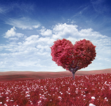 稀土元素在心，情人節(jié)背景的形狀