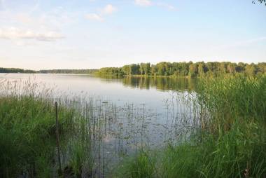 清澈的七月，平静的小河图片