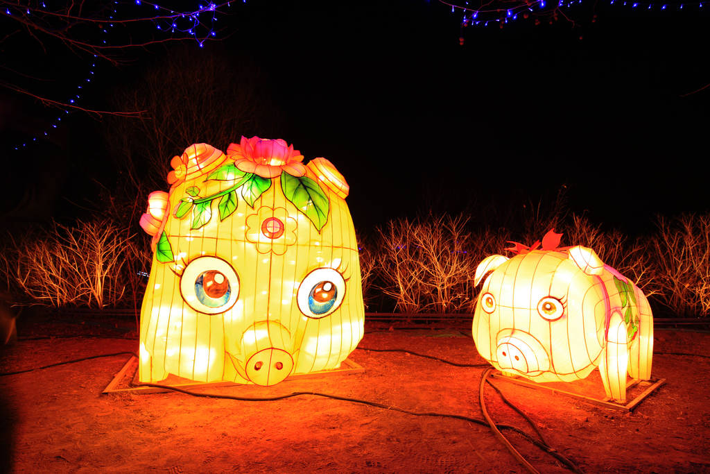 中国节庆灯笼  中国节庆灯笼