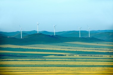 內(nèi)蒙古呼倫貝爾額爾古納根河濕地邊雙低油菜籽花字段