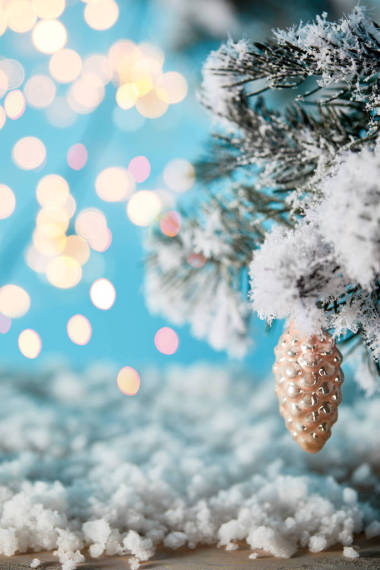 雪中的云杉枝，圣诞球果松果，蓝光朦胧