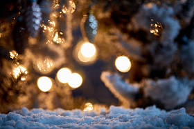 靠近云杉树枝在雪与圣诞球和灯在晚上bokeh