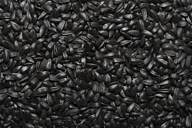 葵花籽