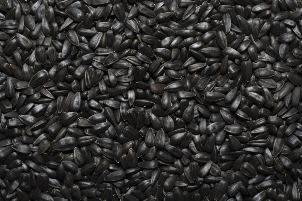 葵花籽
