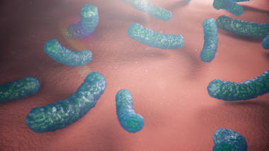 病毒引起传染病免疫力下降病毒疾病的概念病毒文摘backgr