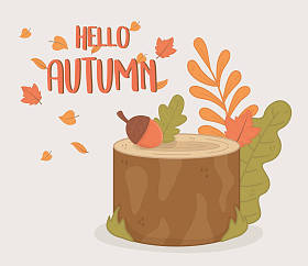 秋天的树干和树叶