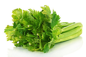 鲜绿色芹菜，白色孤立