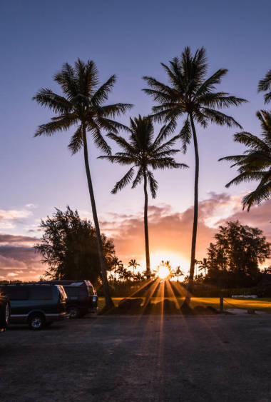 夏威夷的美麗，尤薩圖片