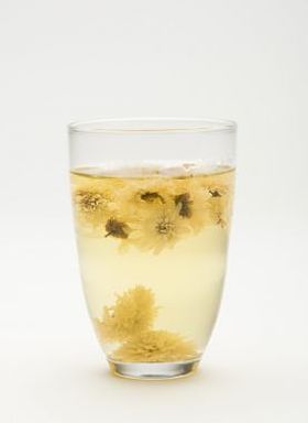 杯菊花花卉茶