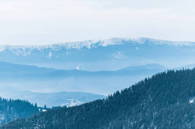 雪山美景，松林，白云飛揚(yáng)圖片