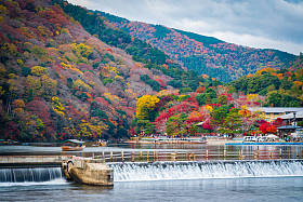 桂河沿岸的秋天岚山森林景观日本京都