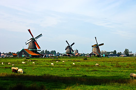 荷兰的荷兰的风车图片