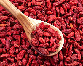 干枸杞浆果