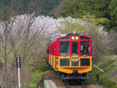 酒野浪漫列車，京都的觀光復(fù)古列車